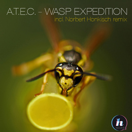 A.T.E.C. - Wasp Expedition (Norbert Honkisch remix)